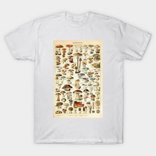 Champignon I Vintage French Mushroom Chart by Adolphe Millot T-Shirt